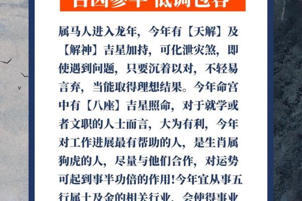 2002年出生的你：属马人的命理解析与生活智慧