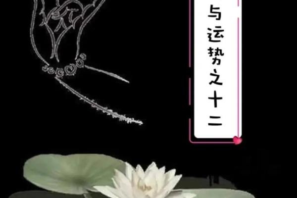 亥时出生：剖析命理与性格的深层联系