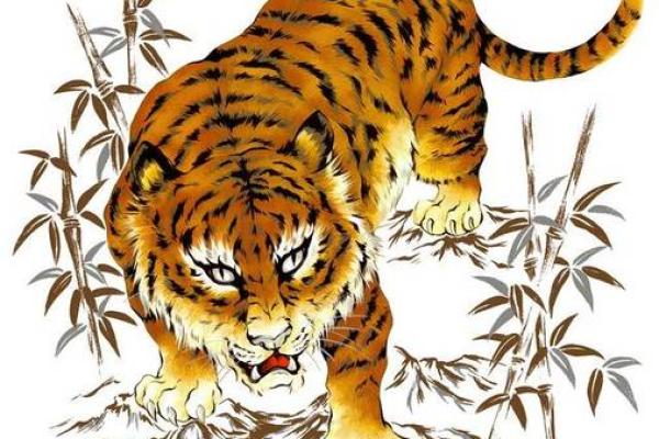 属虎1998命缺什么？解析与建议，让你的人生更加顺遂！