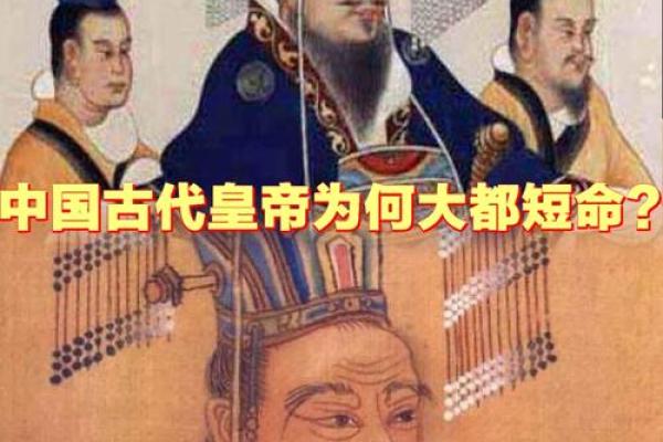 男性手臂长毛的命运解析：细数这些隐藏的秘密和寓意