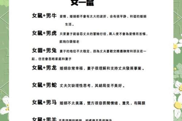 1984年属鼠的人与金命：探索命理与人生之路