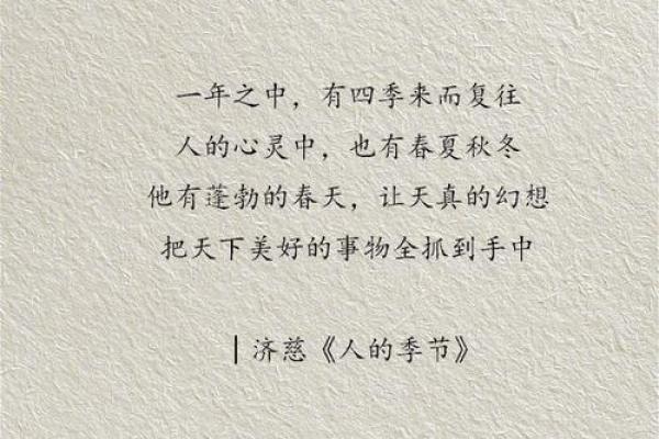 平凡命的深意：寻找生活中的美好与意义