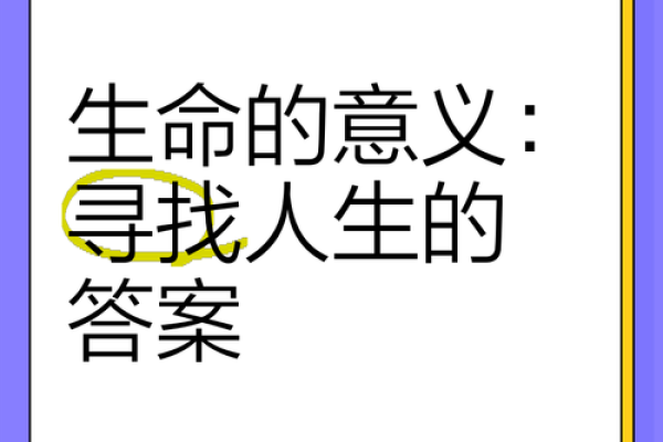平凡命的深意：寻找生活中的美好与意义