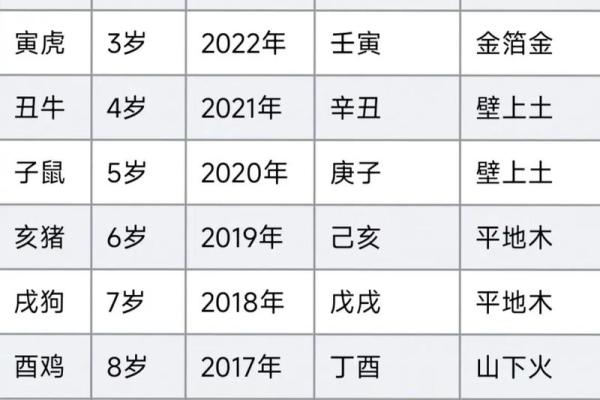 兔年命理解析：五行属相与性格特征探讨