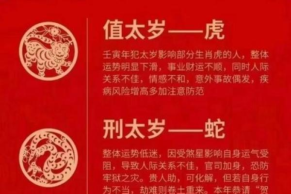 零六年出生的人：金命还是火命，来了解你的生肖命理!