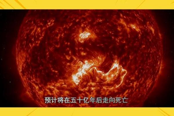 未来趋势：哪些命运将更加旺盛？