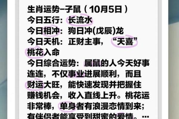 25虚岁鼠命：解析和运势展望，助你顺风顺水！