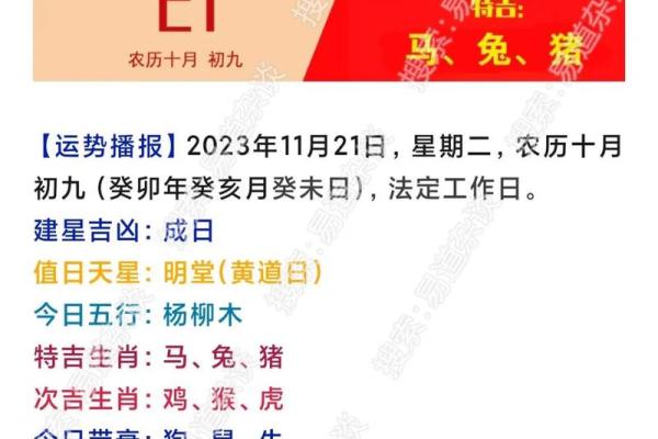 25虚岁鼠命：解析和运势展望，助你顺风顺水！