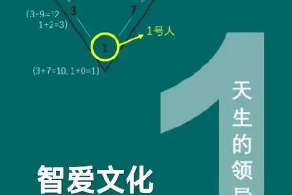 1997年711命理解读——探索生命背后的数字密码