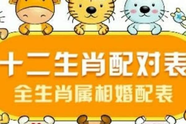 28岁属什么生肖是什么命:破解生肖与命运的奥秘 28岁属什么生肖是什么命:破解生肖与命运的奥秘