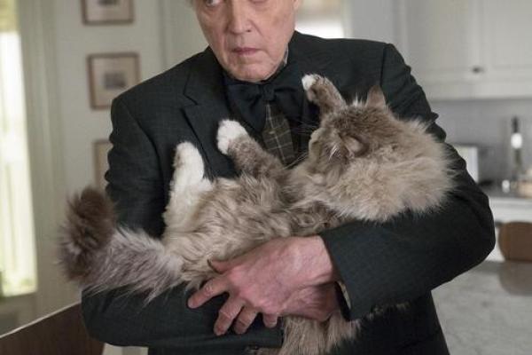 《CG九条命:探索生命的珍贵与脆弱》 《CG九条命:探索生命的珍贵与脆弱》