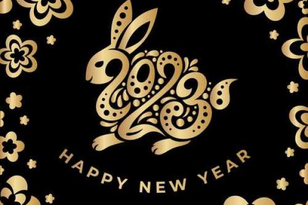 狗年宝宝命里缺什么？揭示命理与性格的奥秘