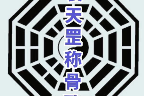 骨重3.2是什么命：神秘命理与生活的奇妙联系