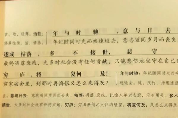 诸葛亮：借命与否的智慧人生，谁能窥其真？