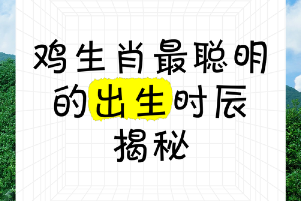 2005年鸡年命理解析：如何理解命中的鸡与精彩人生的际遇