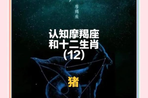 1995年属猪女命解析:幸福与挑战并存的精彩人生 1995年属猪女命解析:幸福与挑战并存的精彩人生
