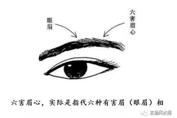 眉心长瘊子，揭示运势与命运的奥秘！