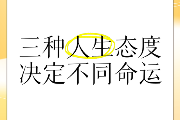 心态决定命运：如何通过积极心态改变人生轨迹