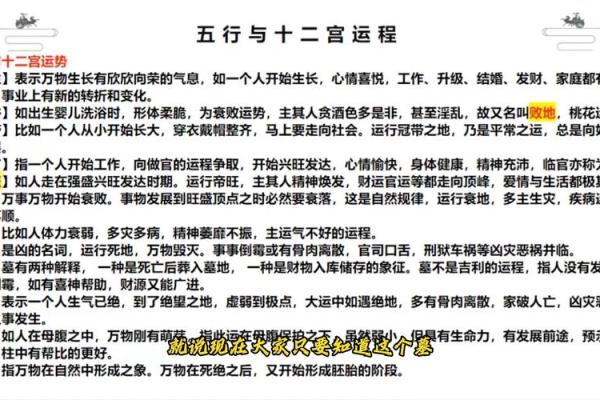 土命与木命在长相上的异同解析：神秘的命理法则与自然元素的交织