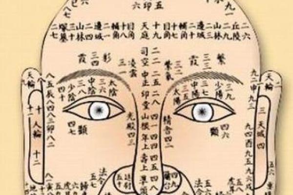 印堂凸起男命的面相解析与生活影响