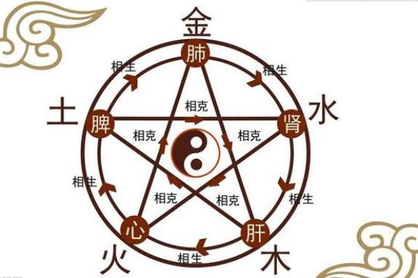 如何通过西墙挂饰提升家中木命和土命的运势？