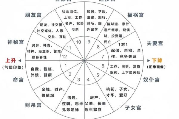 探究星座命盘的准确性：哪些星座最能启发你的人生？