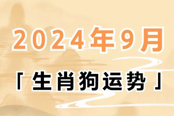 49岁属狗女人的命运解析与人生智慧 49岁属狗女人的命运解析与人生智慧