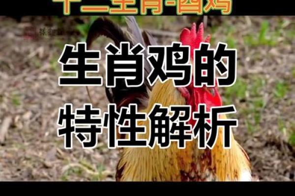 探秘真命夫子：究竟他是哪个生肖的化身？