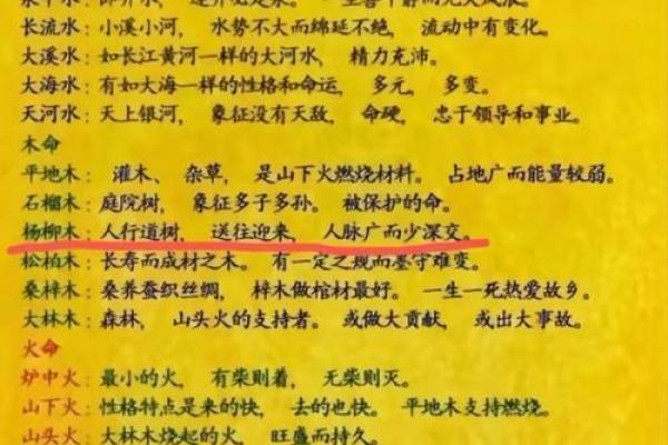 木命与金命夫妻的创业天地：适合的生意与发展策略