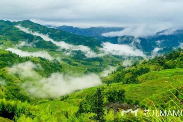 如何判断泉水命缺什么,让你的人生更顺畅! 如何判断泉水命缺什么,让你的人生更顺畅!