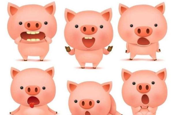 51岁属猪的命运解析:机遇与挑战并存的人生旅程 51岁属猪的命运解析:机遇与挑战并存的人生旅程