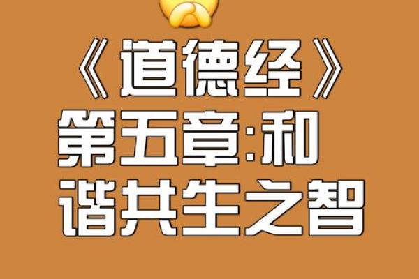贤达之命：探寻智慧与道德的真谛