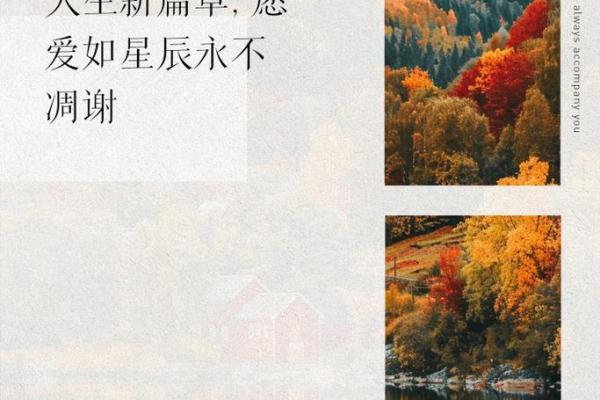 49岁星辰照命解读:开启人生新篇章的智慧与启示 49岁星辰照命解读:开启人生新篇章的智慧与启示