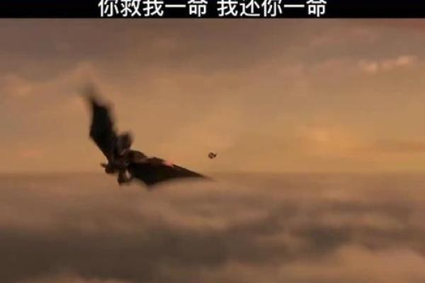 《一命还一命》:情感的真实与复杂交织的心灵之旅 《一命还一命》:情感的真实与复杂交织的心灵之旅