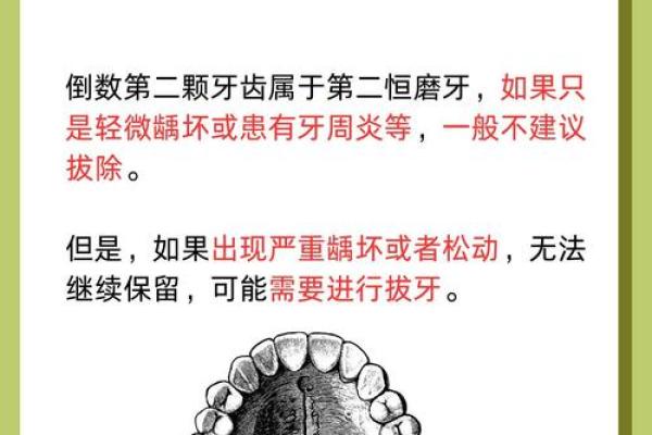 女人32个牙齿与命运的奇妙关联