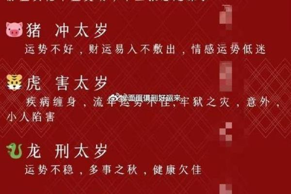 虎年大吉，兔年命格解析：揭示你的命理之路！