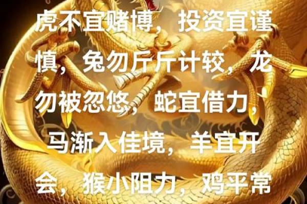 1972年生肖鼠：命格解析与运势之道
