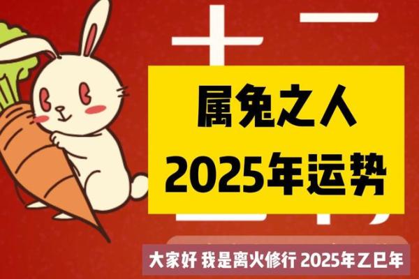 1987兔命的人命理解析：缺什么与如何调整运势的智慧