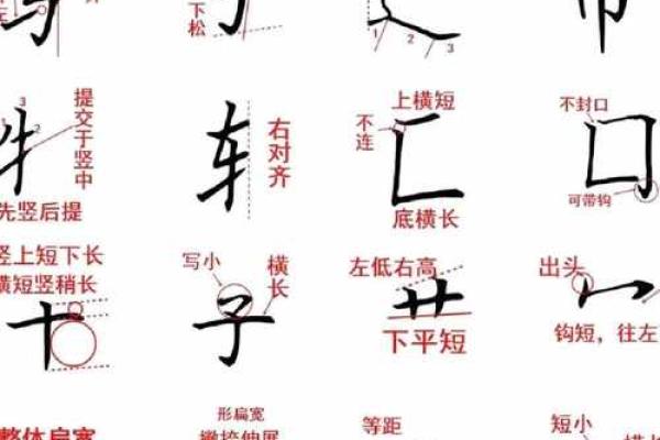 “揭秘‘命’字的结构与部首：探寻汉字背后的奥秘与文化