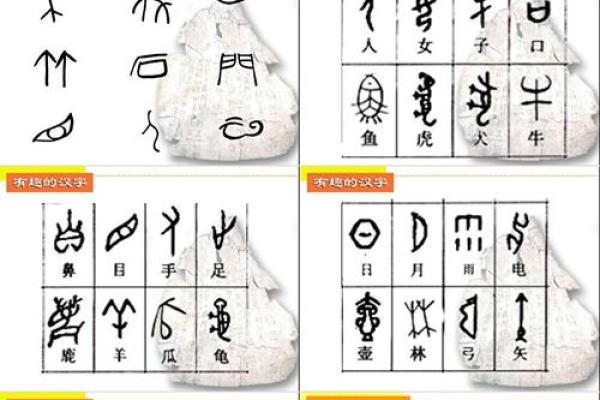 “揭秘‘命’字的结构与部首：探寻汉字背后的奥秘与文化