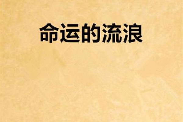 漂泊的命运：在流浪与归属中寻找自我之路