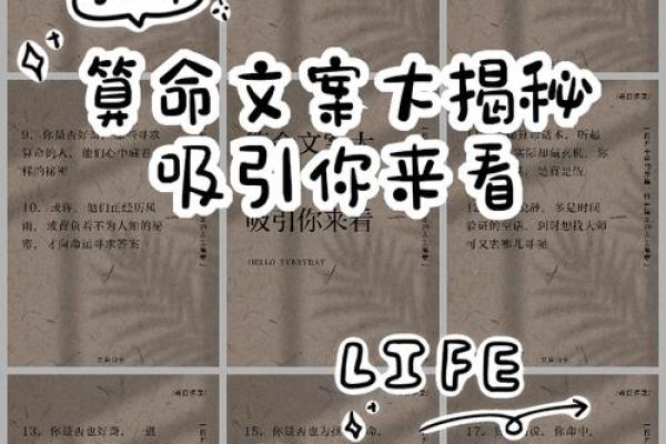 算命：揭示未来方向的神秘之旅，您适合哪种命？