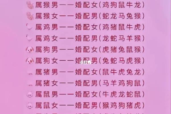 71岁属什么生肖？探秘属猪的命运与性格！