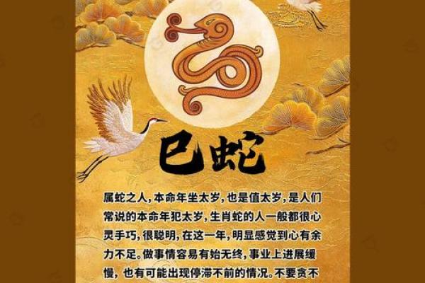 71岁属什么生肖？探秘属猪的命运与性格！
