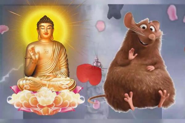 1994属鼠人:智慧与机遇并存的人生之旅 1994属鼠人:智慧与机遇并存的人生之旅