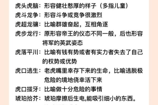 农历11月虎年出生的人：性格与命运的深度解析
