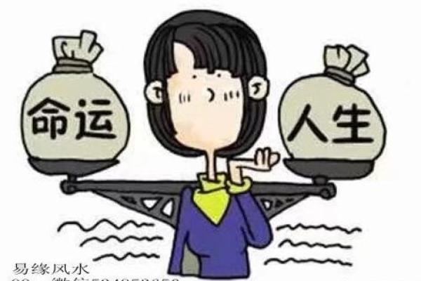初学命理学：女生入门的最佳途径与资源推荐