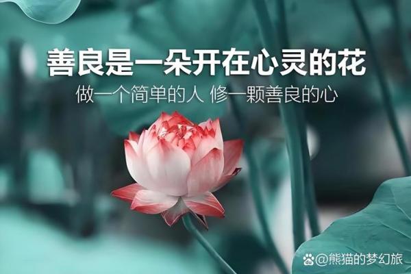 探寻庙堂之命的深意与魅力, 生活中的无形力量