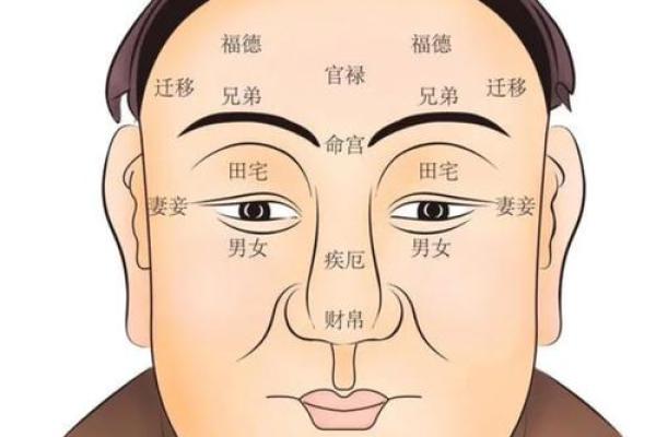 女人大鼻孔的命理解析：揭示财运与性格的深层联系