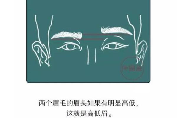 男人眉毛过于淡薄的命运揭示与风水解析